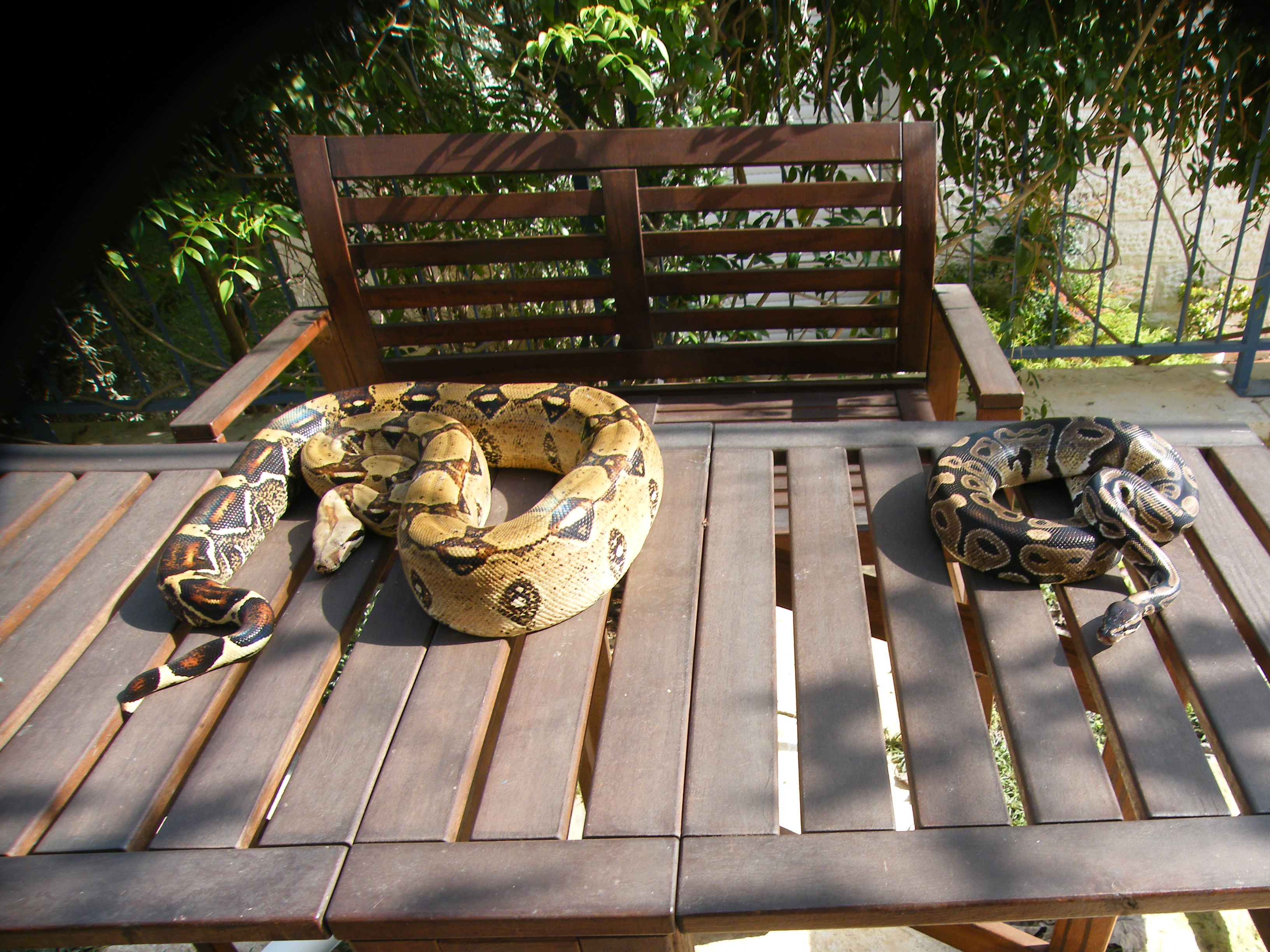 DSCF8171.JPG