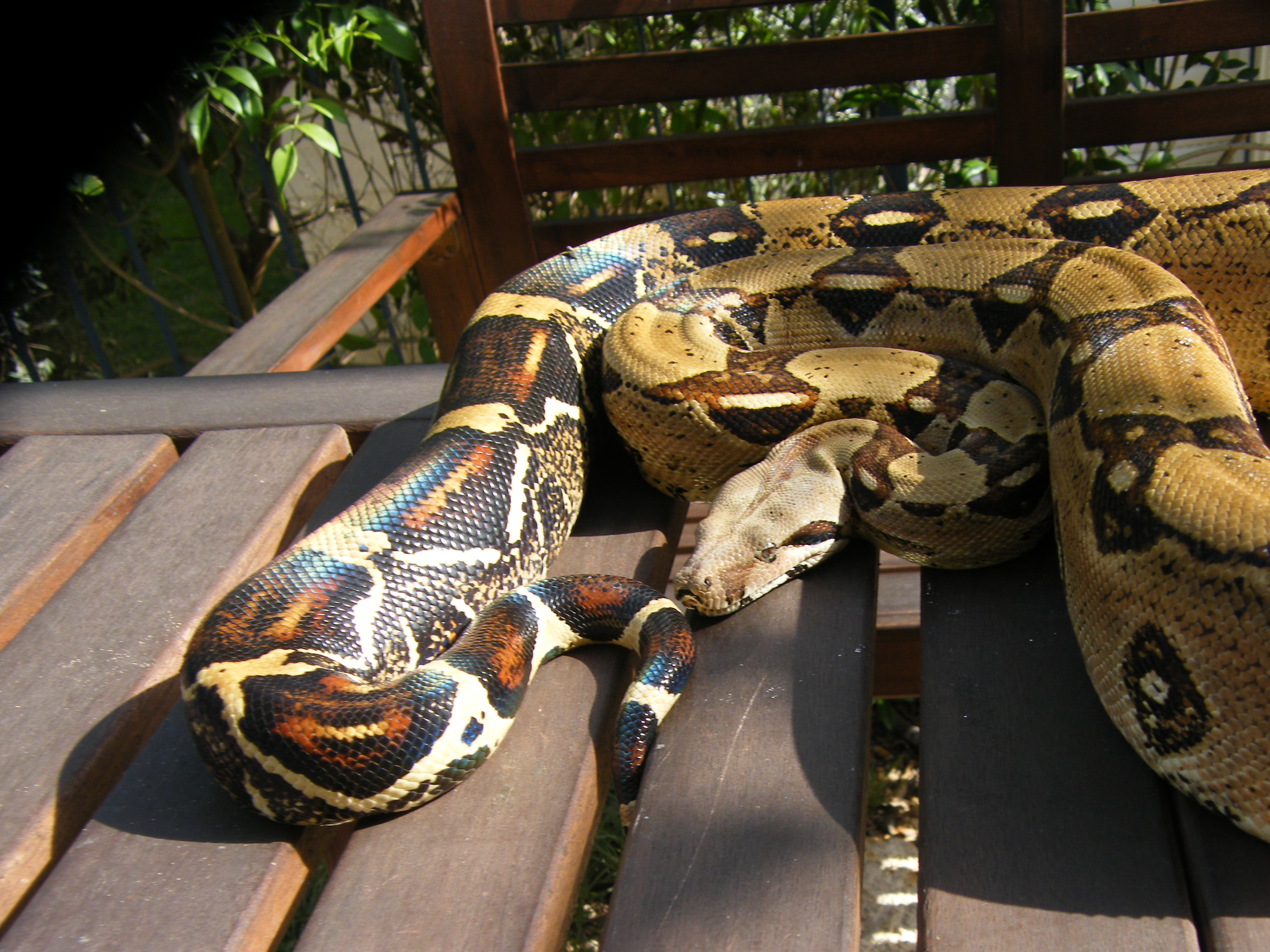 DSCF8193.JPG