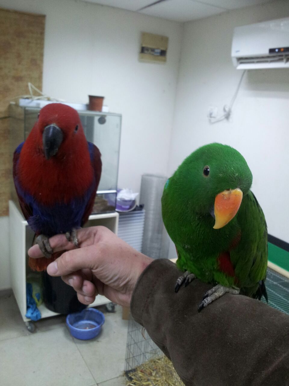 IMG-20150118-WA0018 (1).jpg