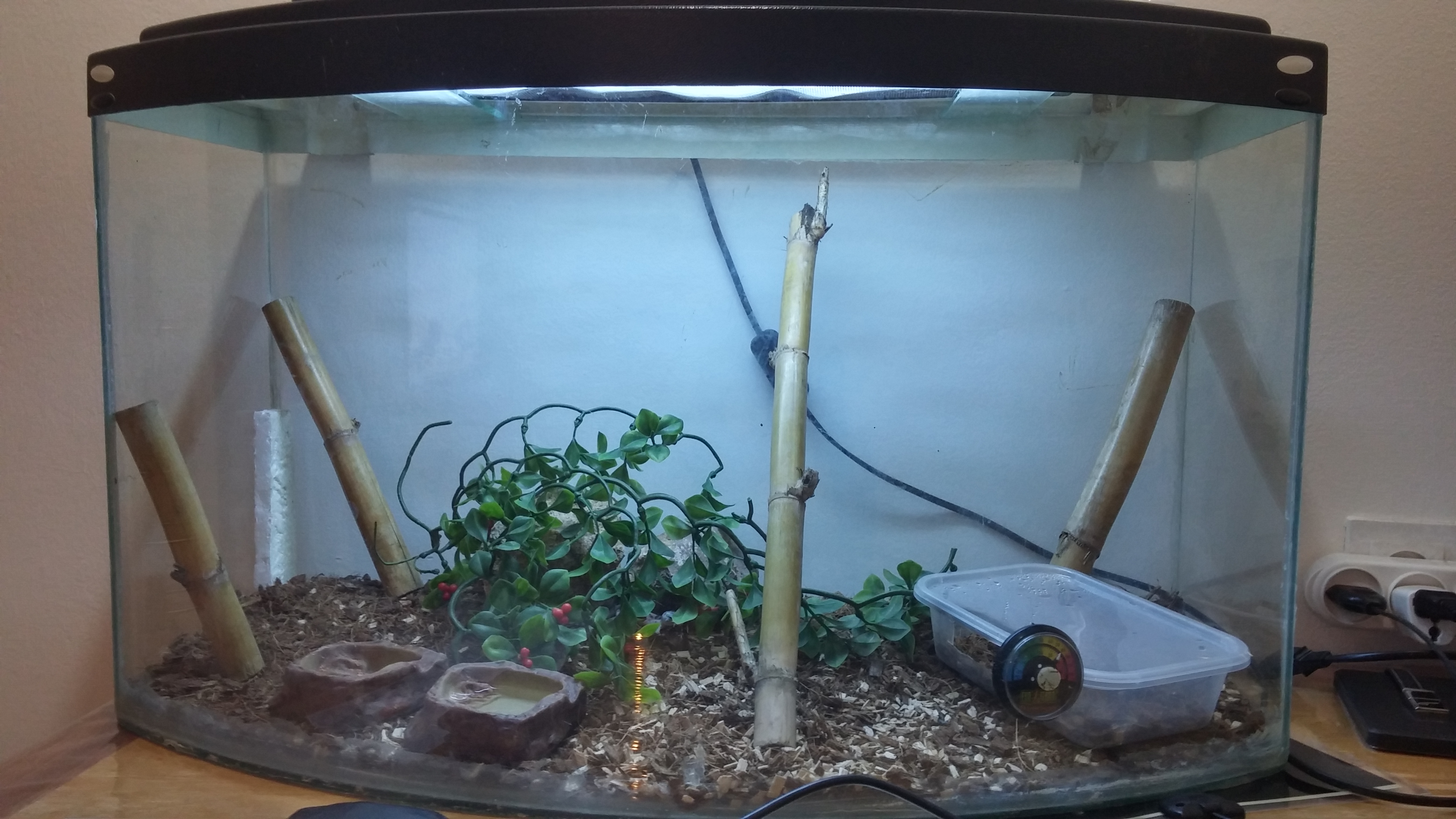 20150125_190034_HDR.jpg