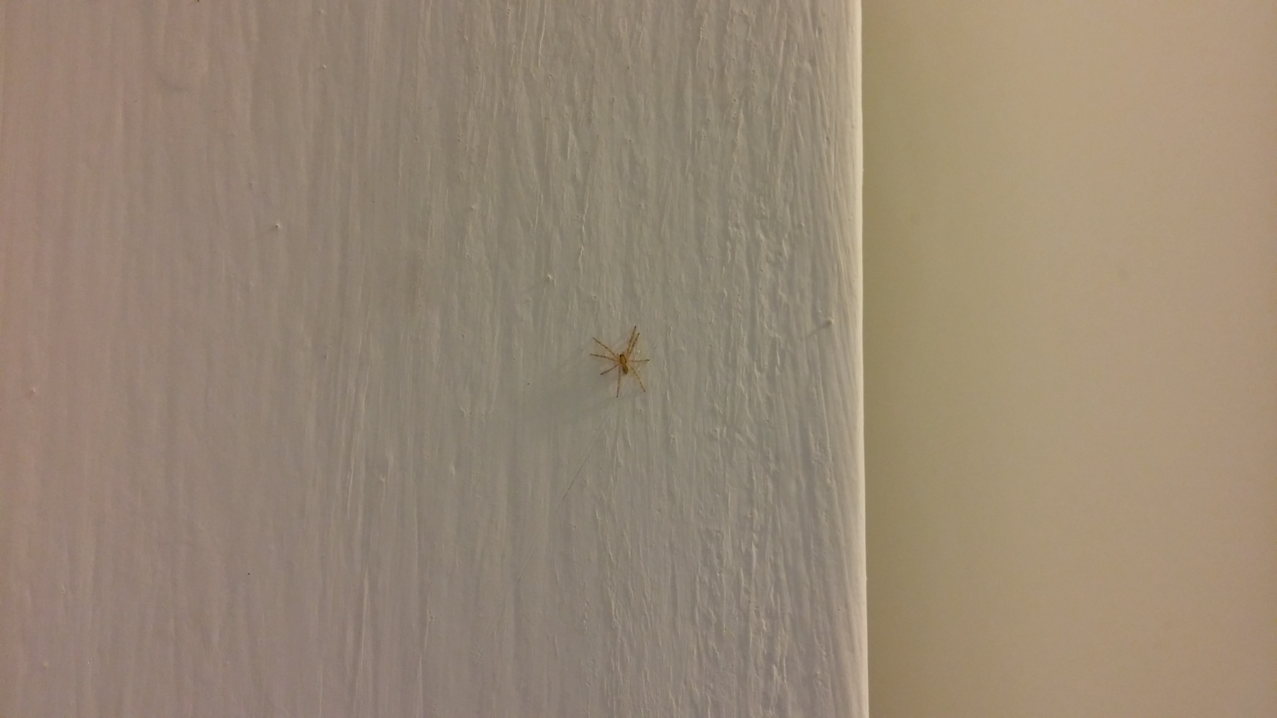 20150305_225137.jpg