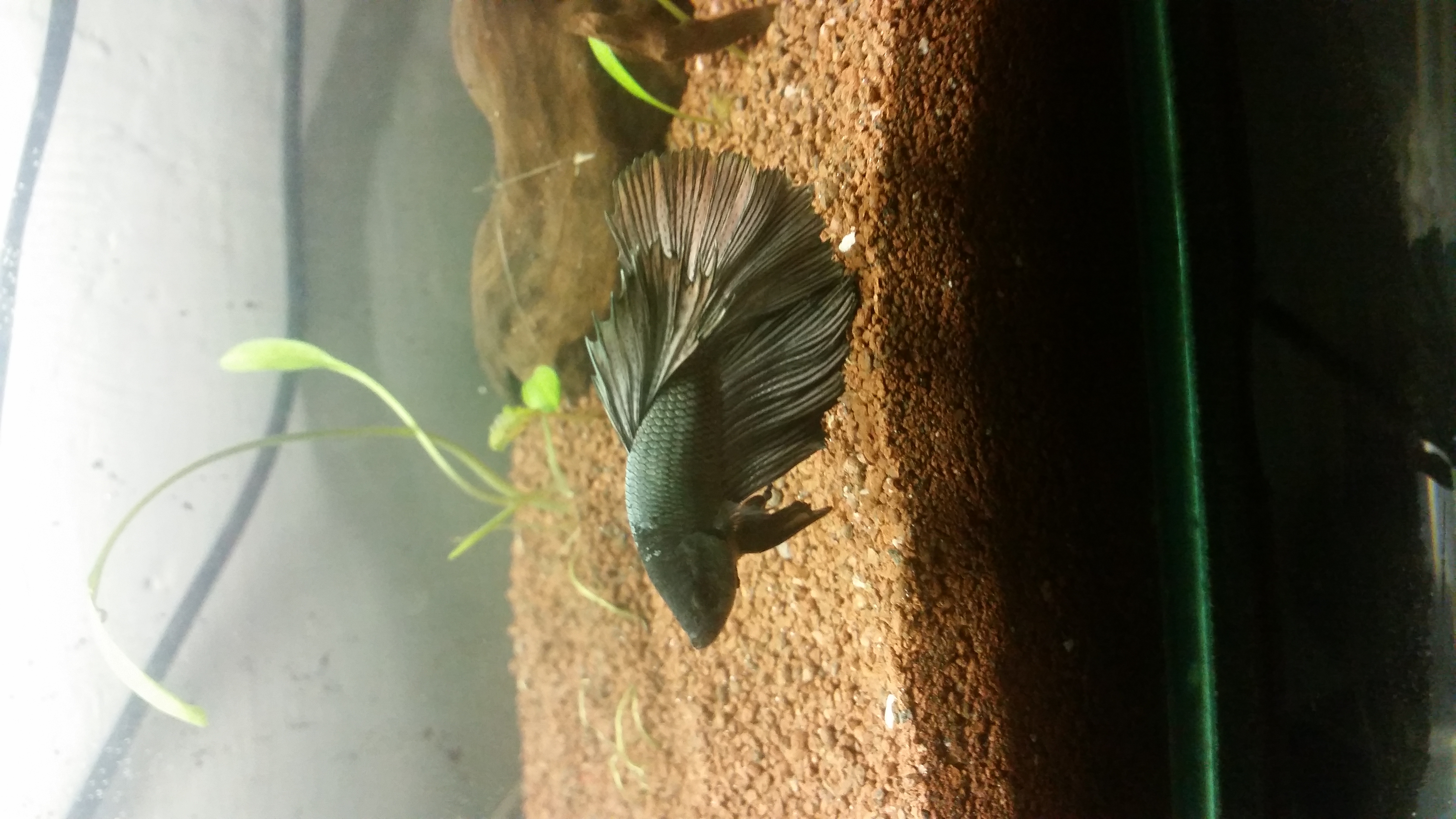 20150323_005146.jpg
