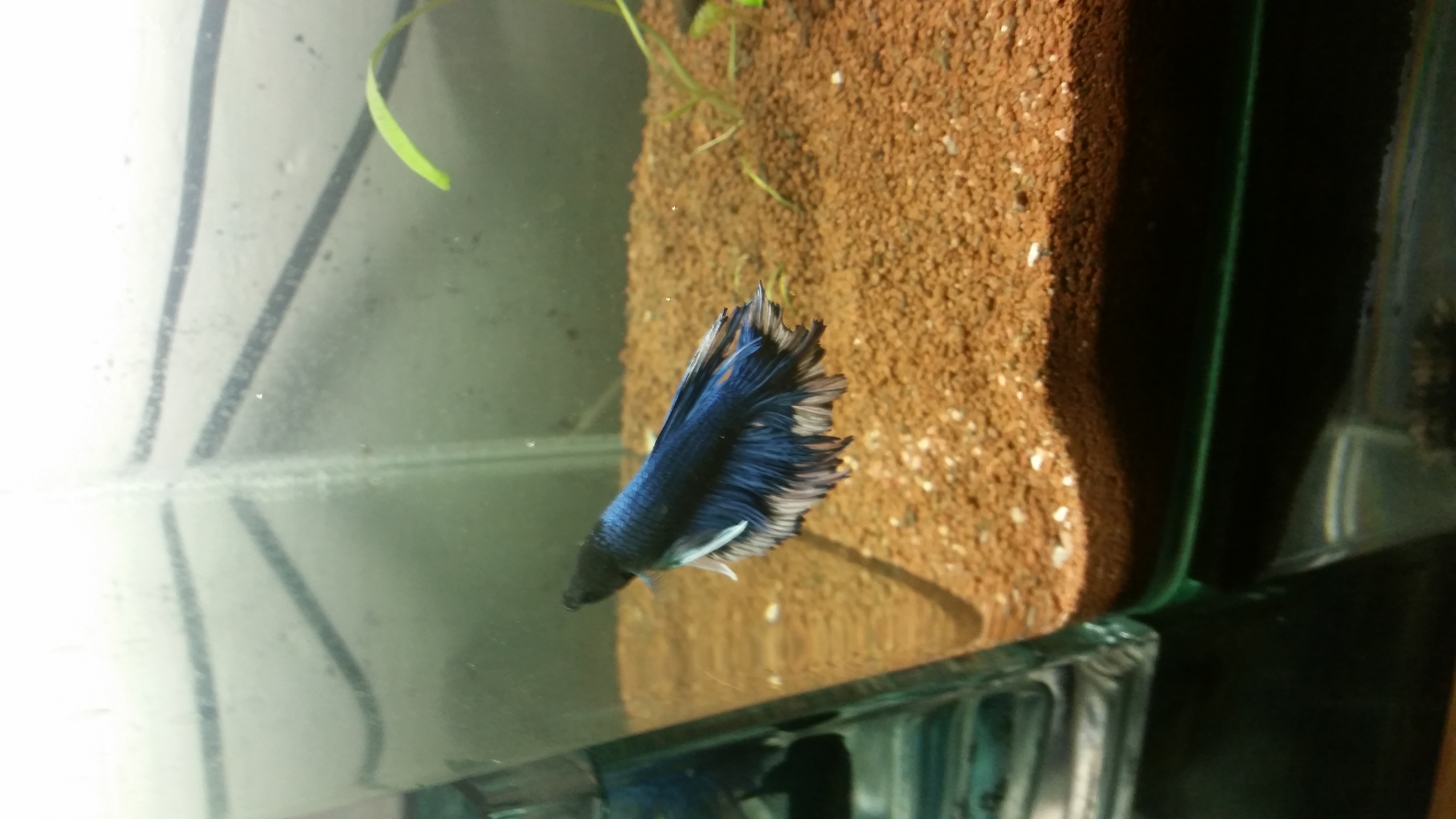 20150322_181001.jpg