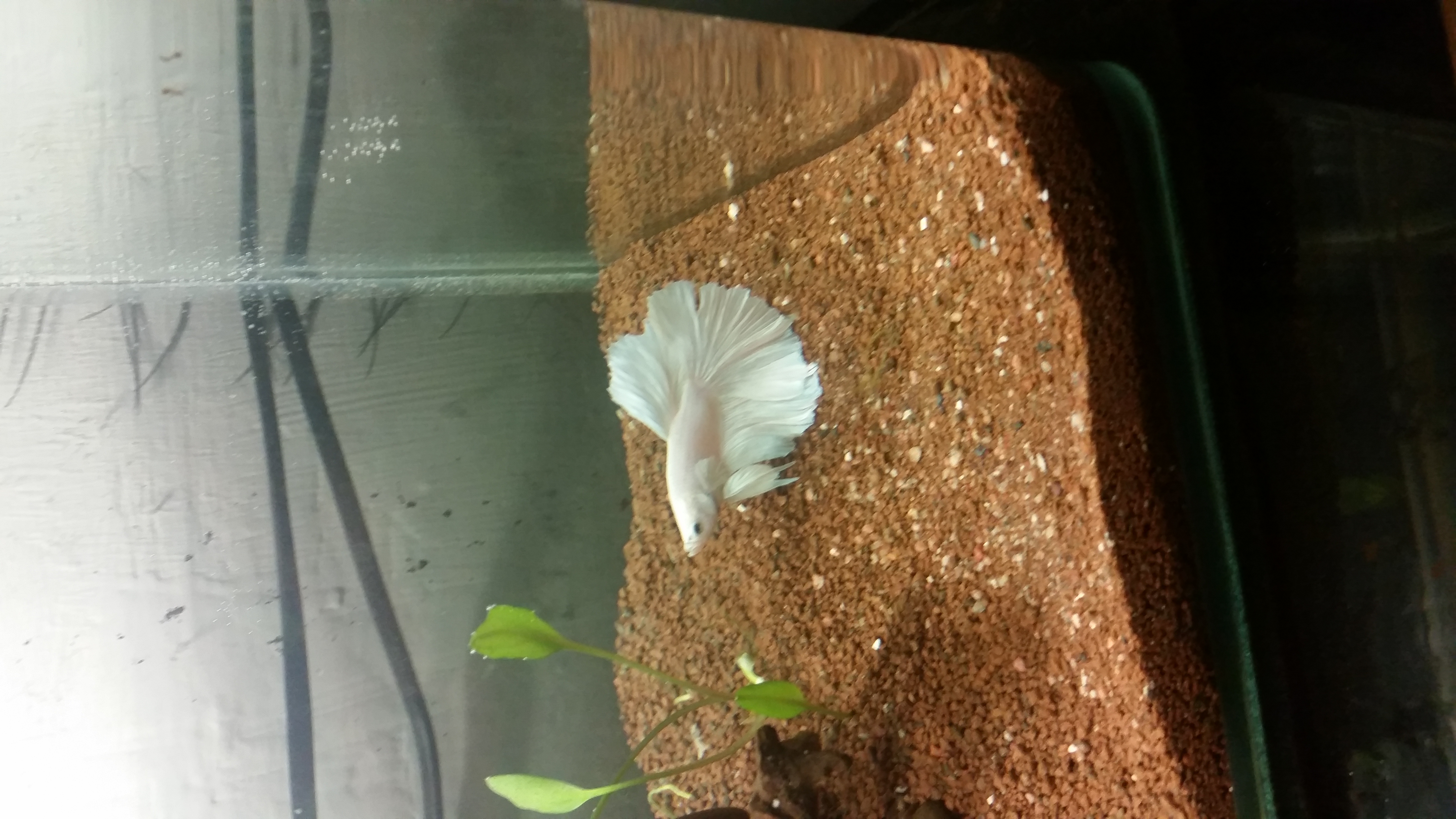 20150322_180630.jpg