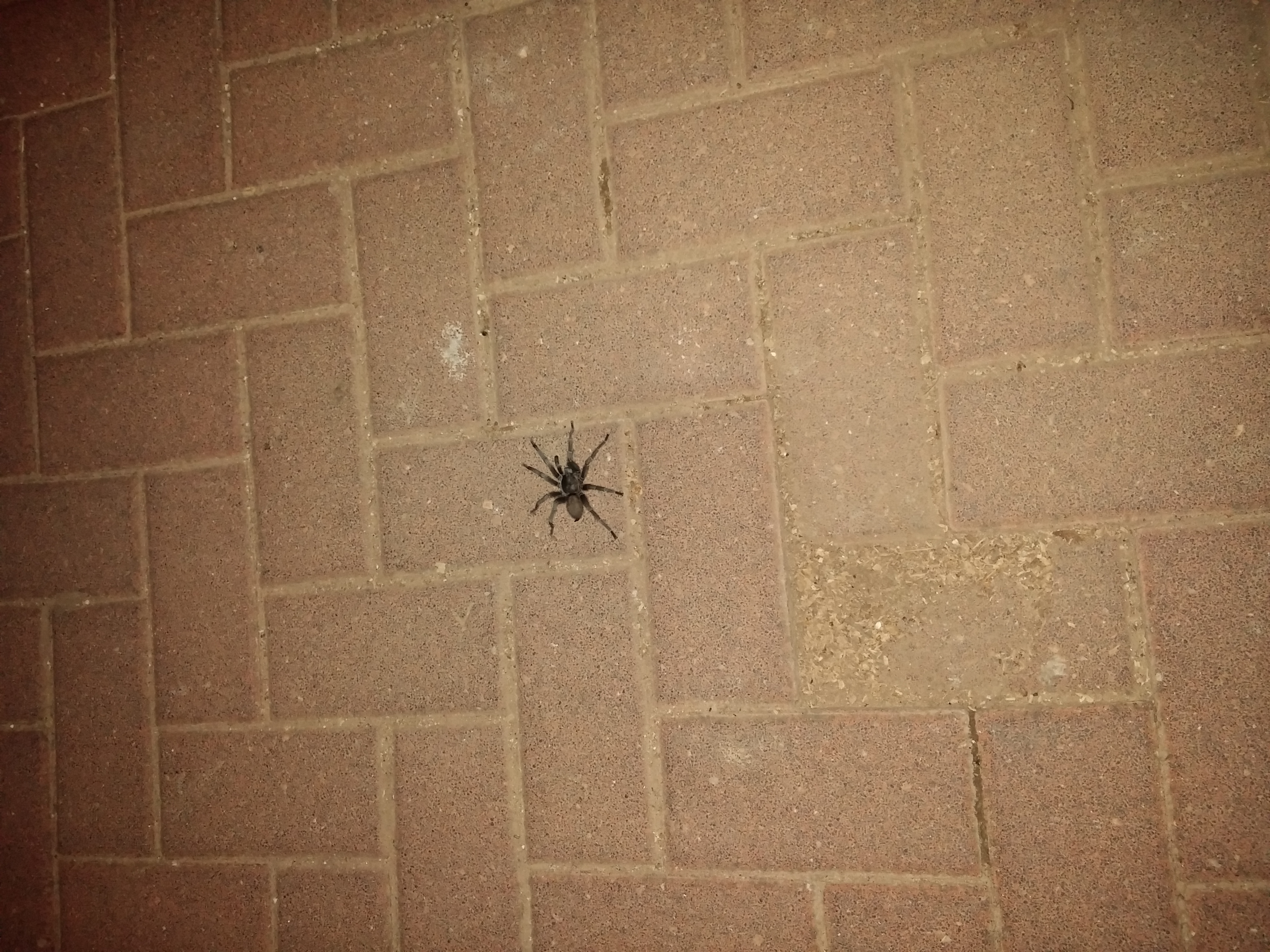 20150416_204505.jpg