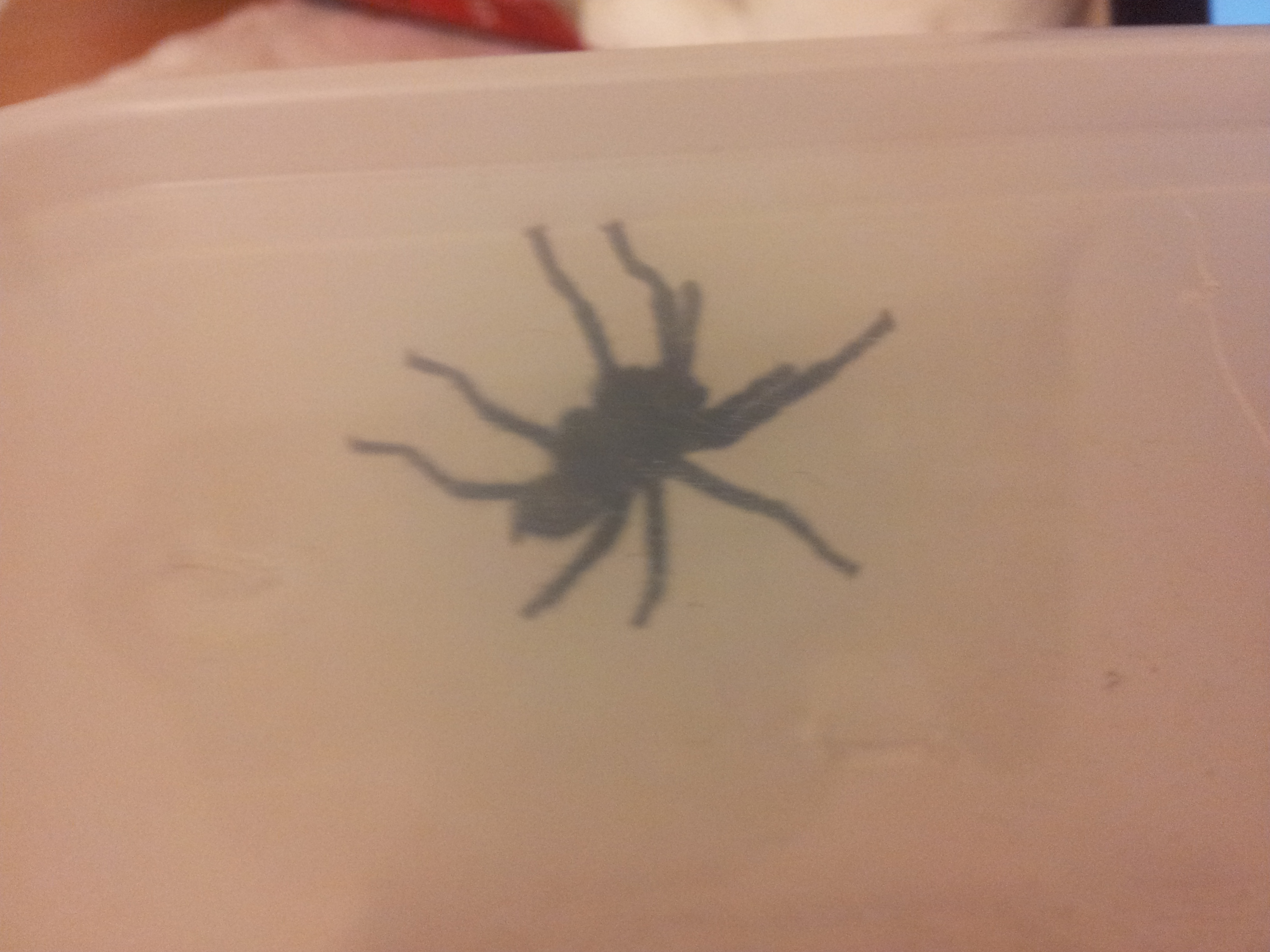 20151027_203906.jpg