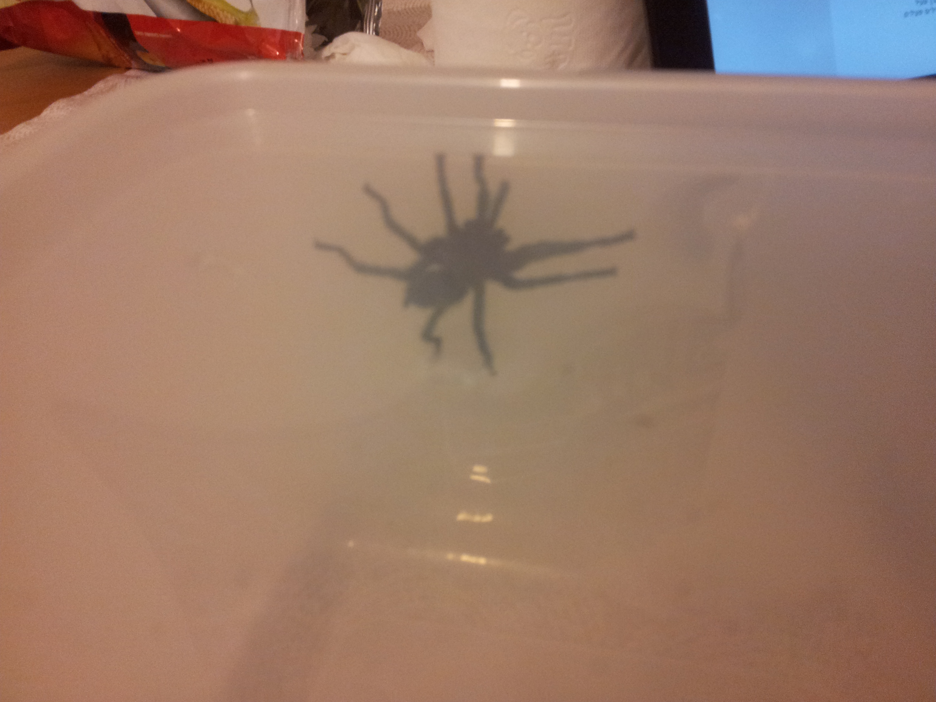 20151027_203920.jpg