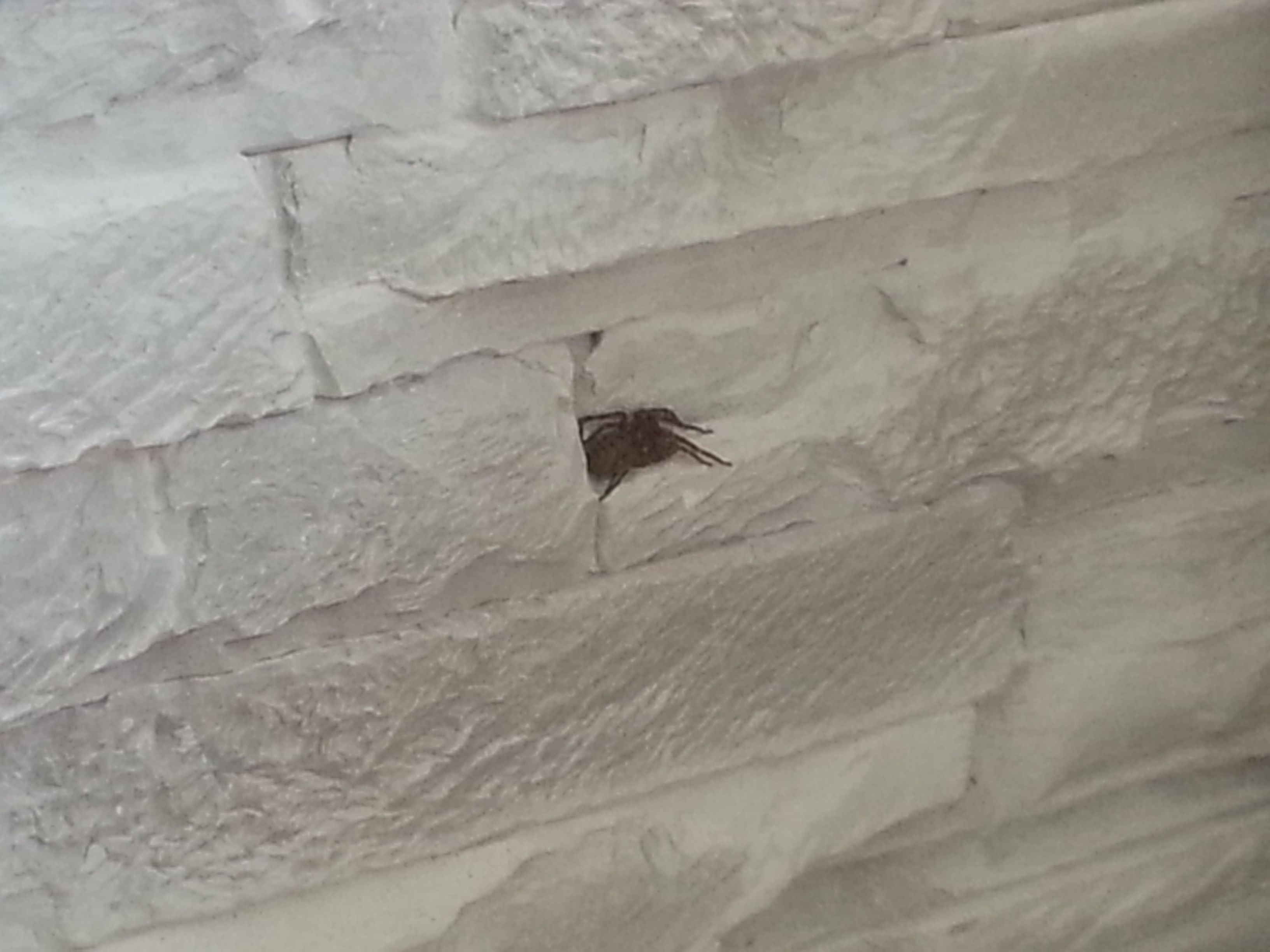 20160124_154845.jpg
