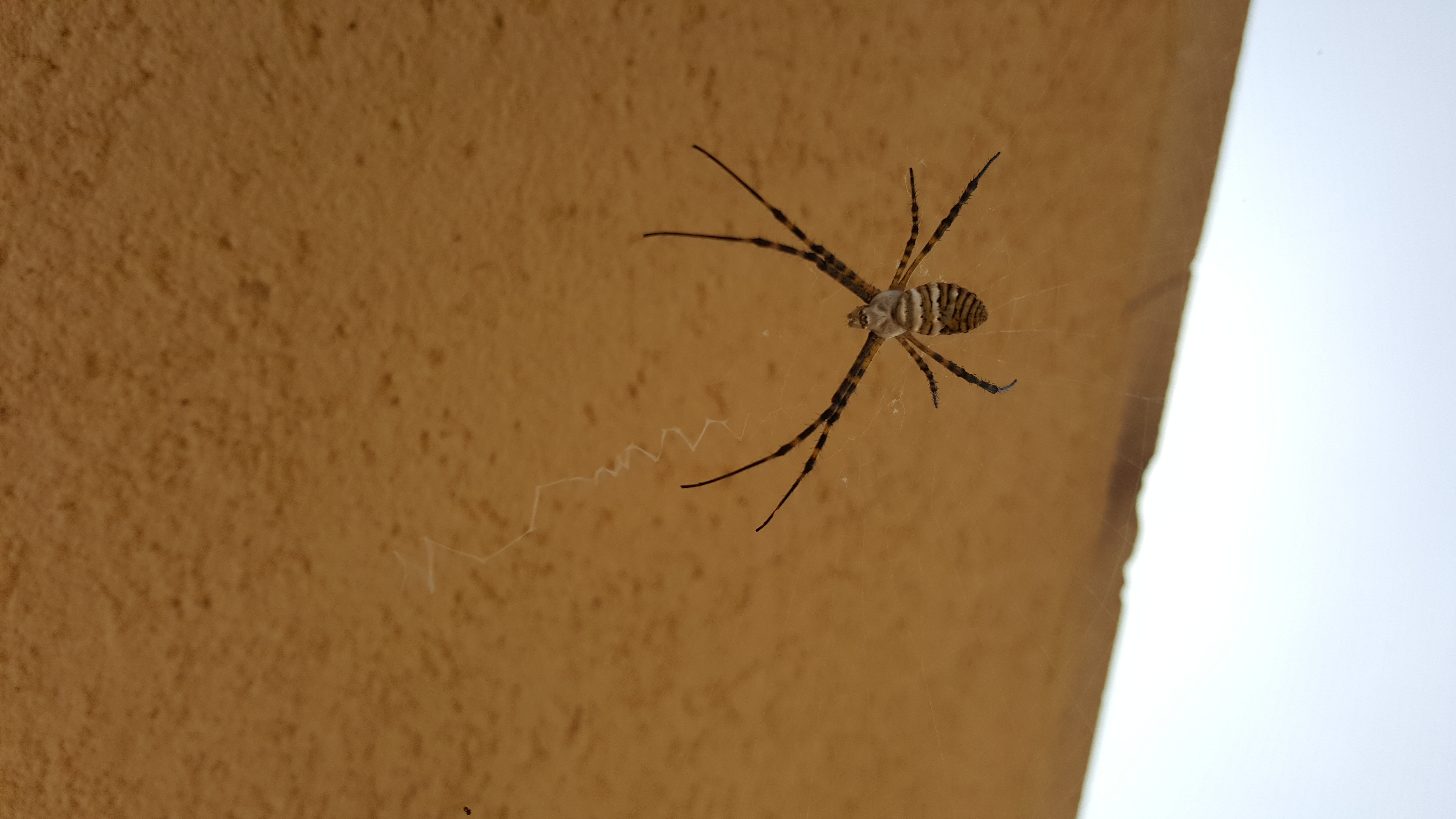 20151019_130711.jpg
