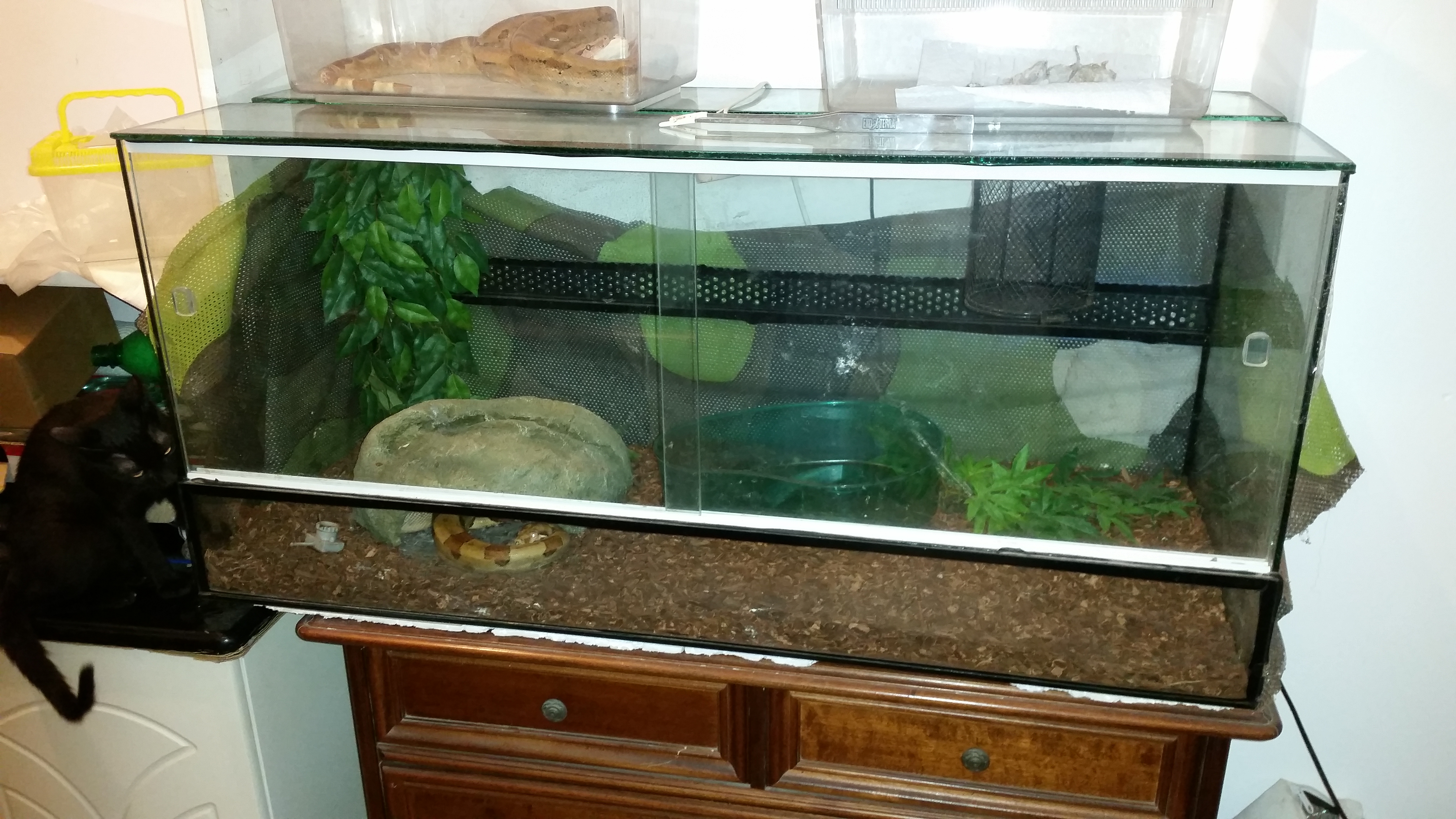 20160206_161319.jpg