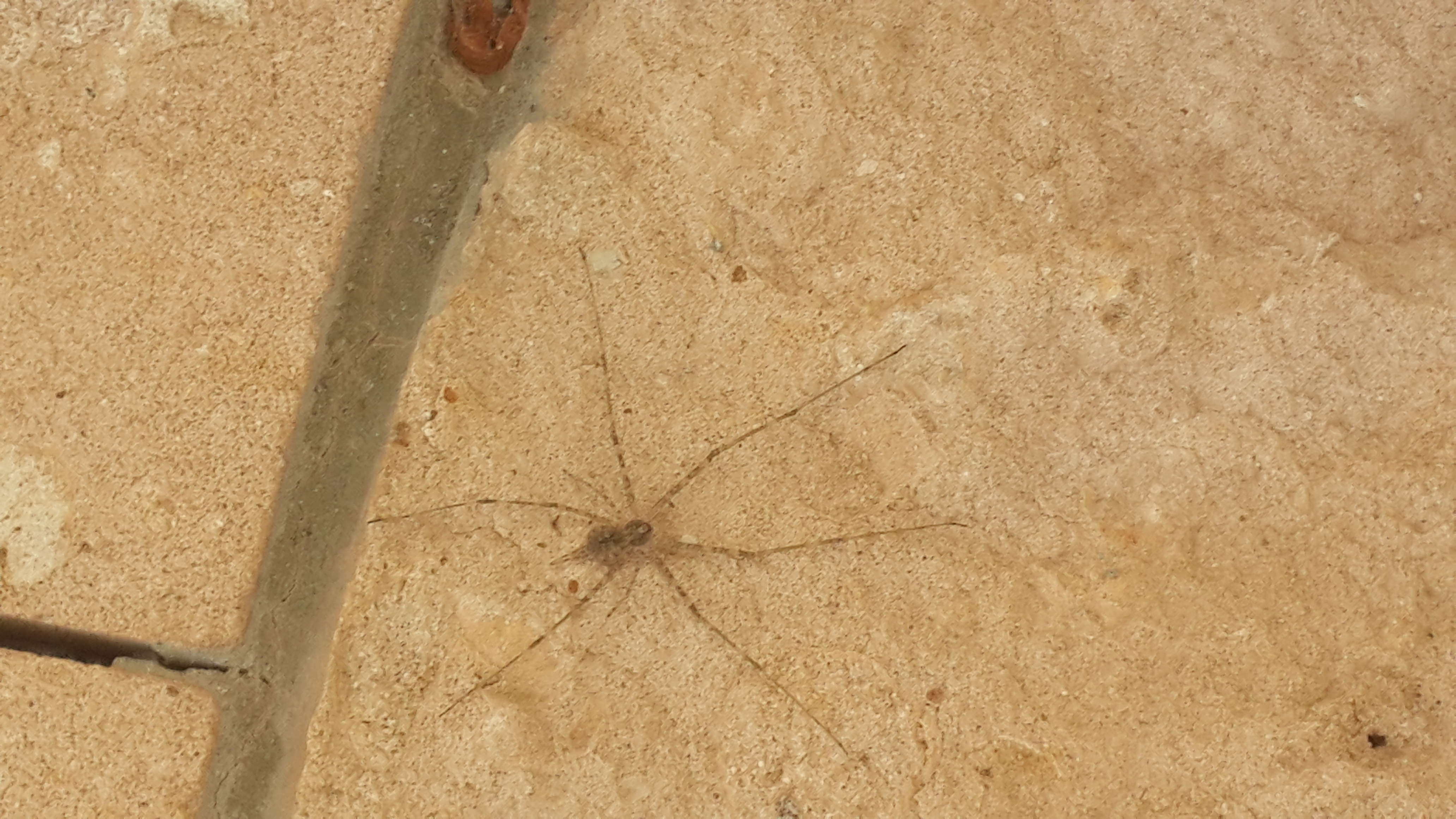 20160517_134024.jpg