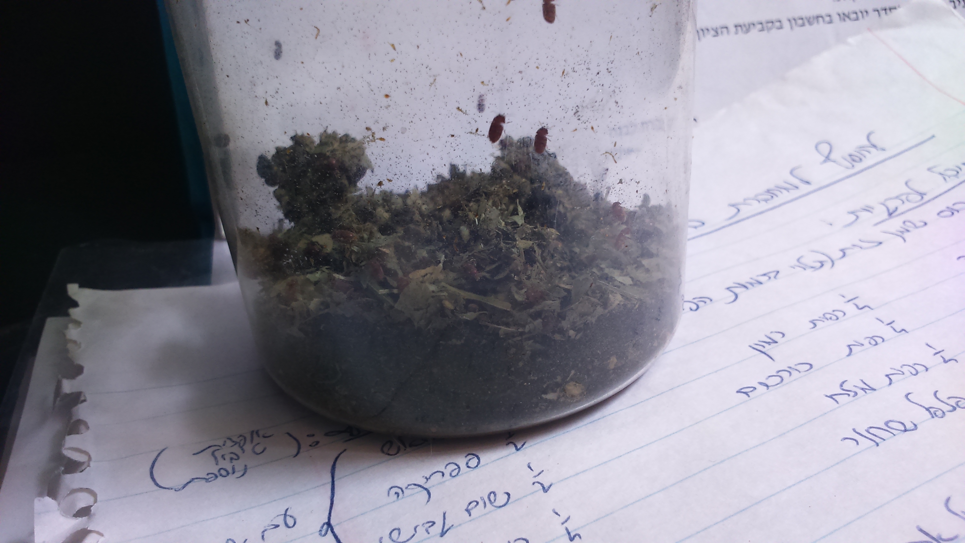 33333.JPG