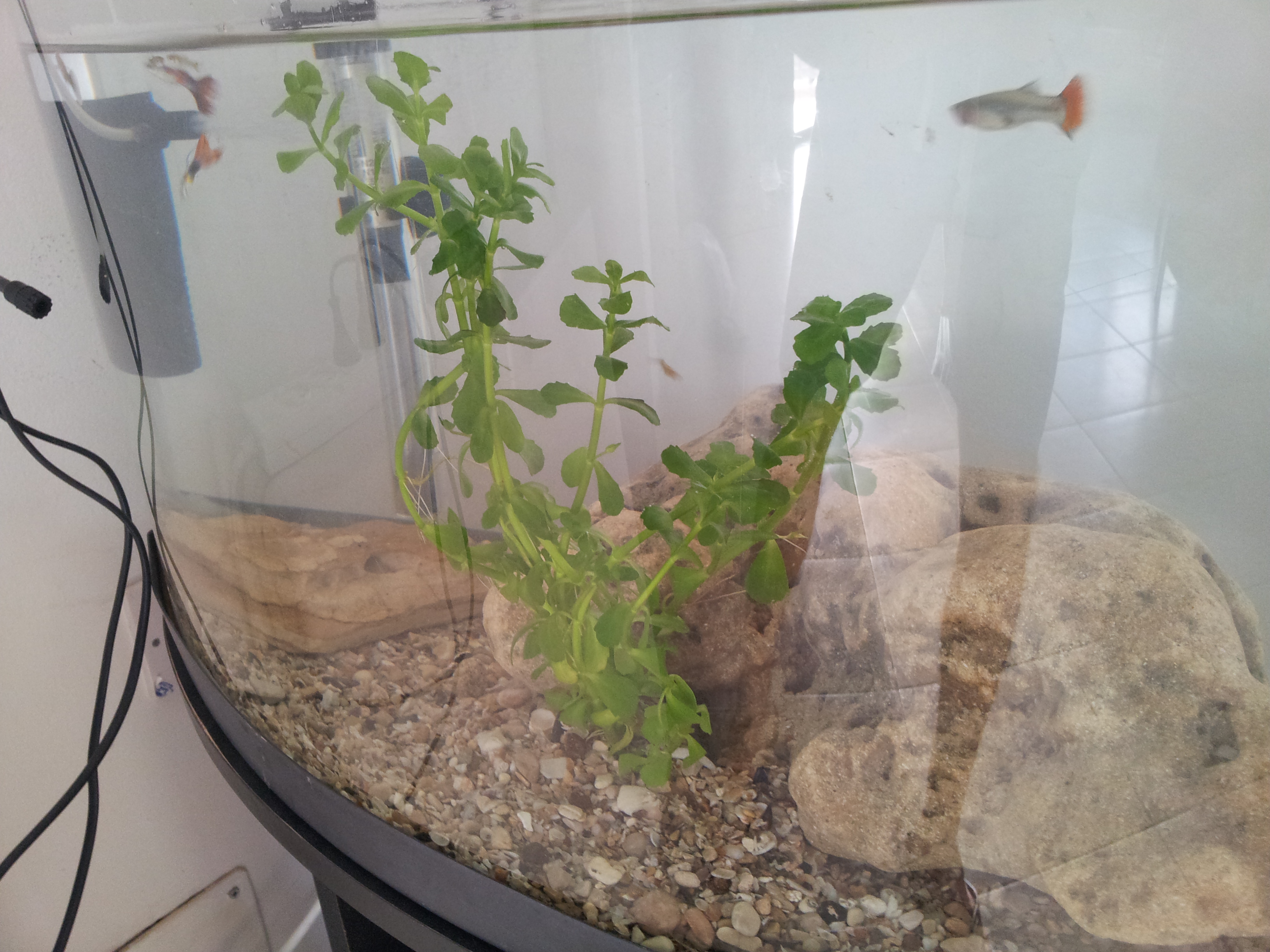 20160626_184831.jpg