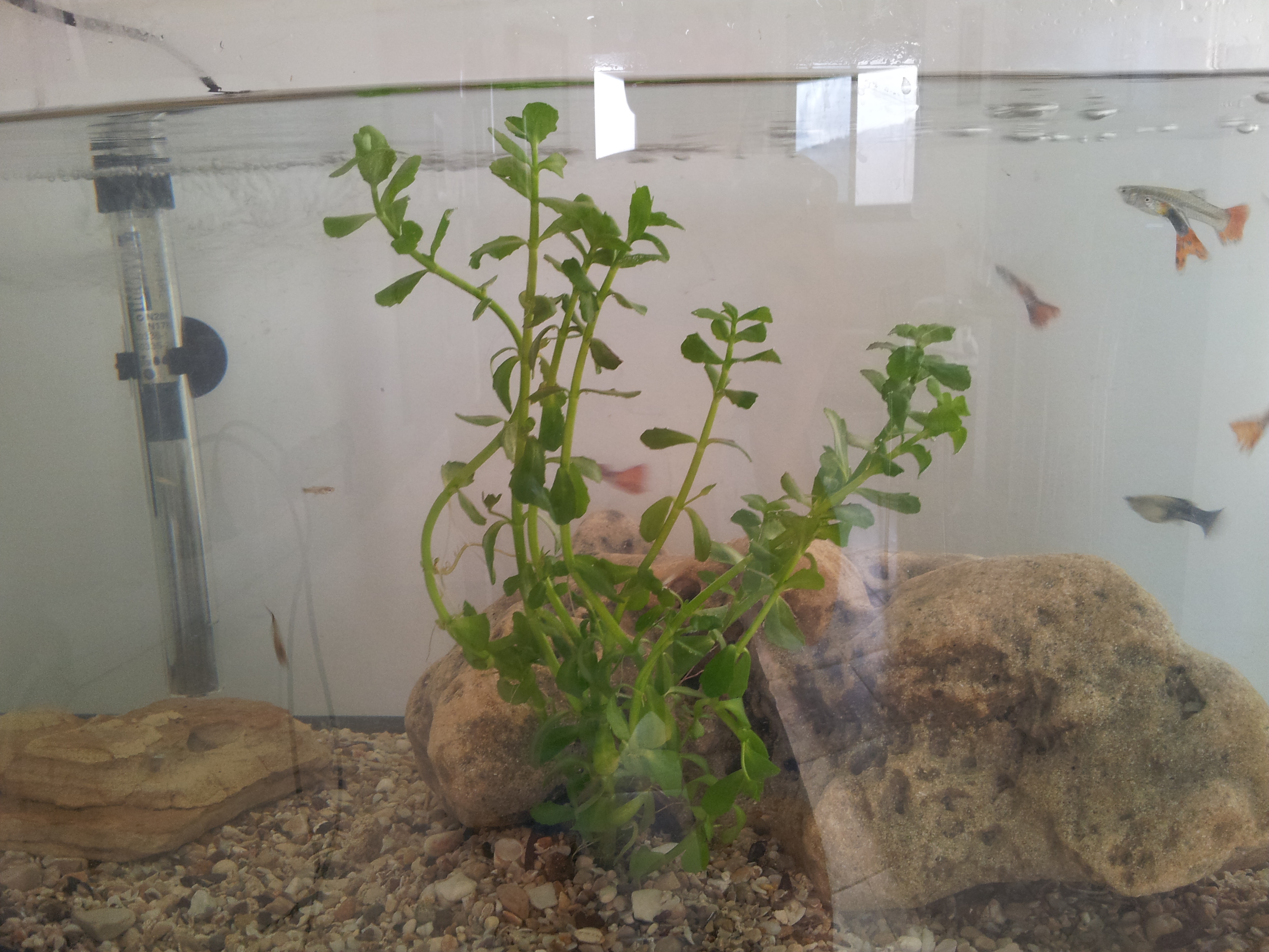 20160626_184822.jpg