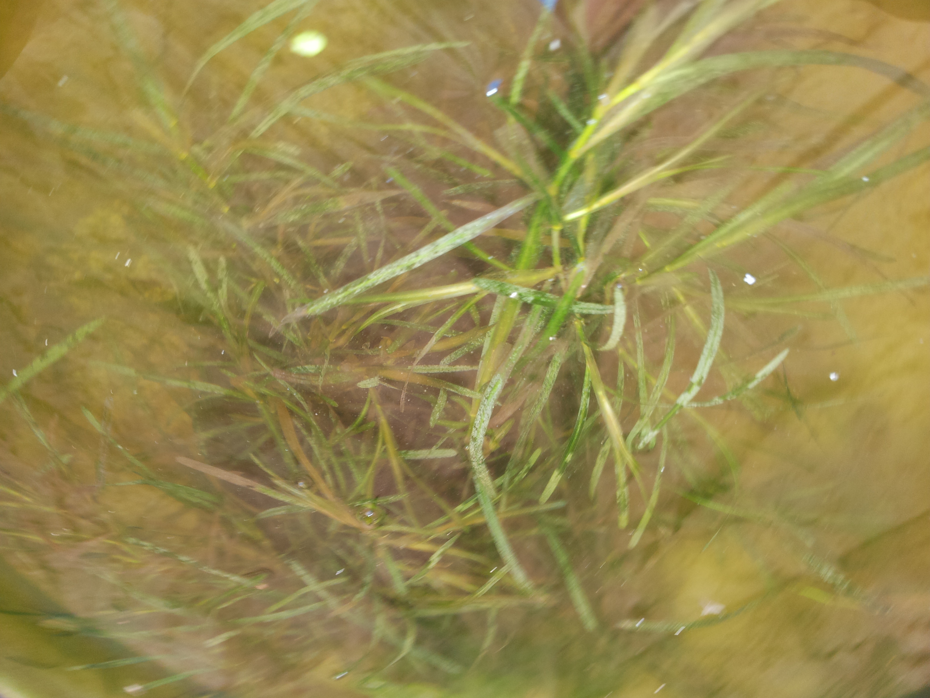 20160721_163325.jpg