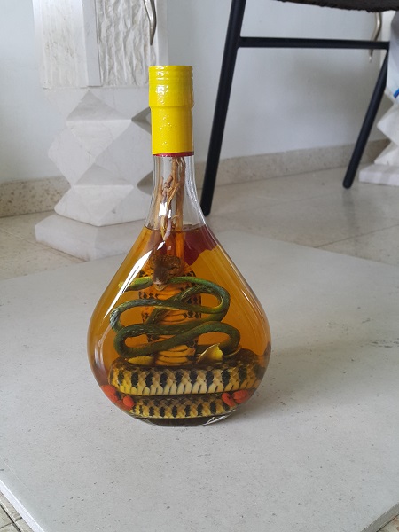 נחש 1.jpg