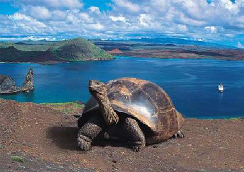 galapagos1.jpg