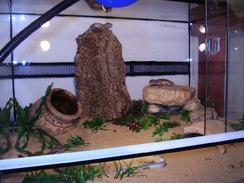 Picturef_045.jpg