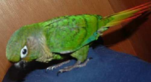 2006 948.jpg