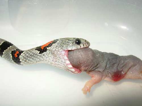 DSCN0605.JPG