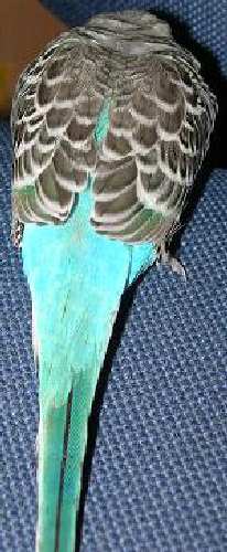 DSCN2699.JPG