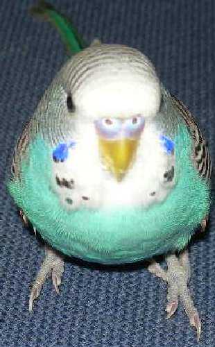 DSCN2703.JPG