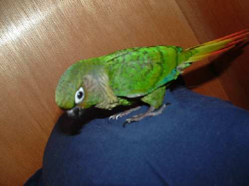 2006 948.jpg