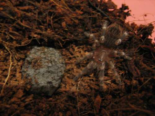 IMG_0040.JPG