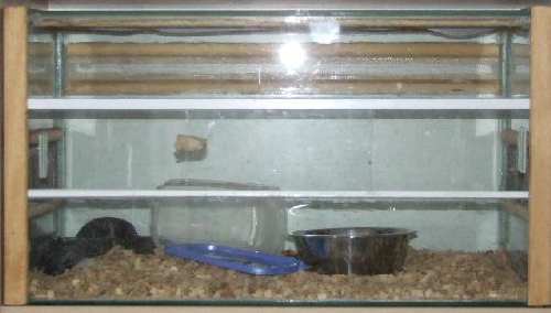 DSCF0961.JPG