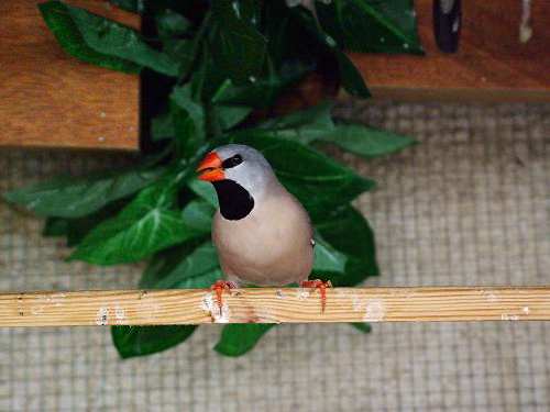 DSCF1164.JPG