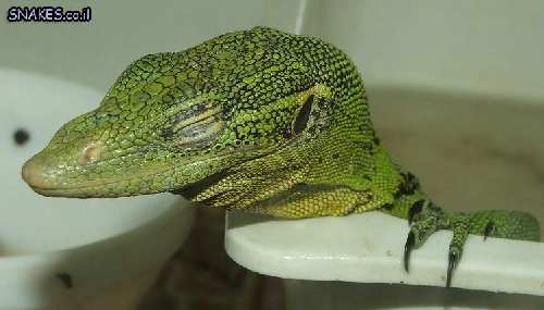 DSCF3964.JPG