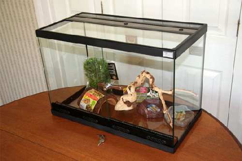 60cm-viv-front-right.jpg