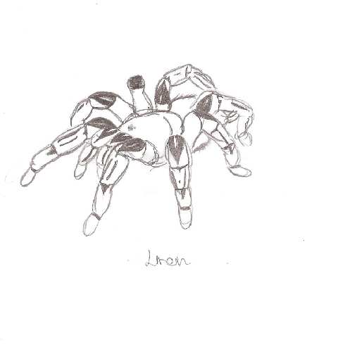 4444.jpg