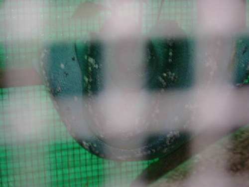 Picture16.jpg
