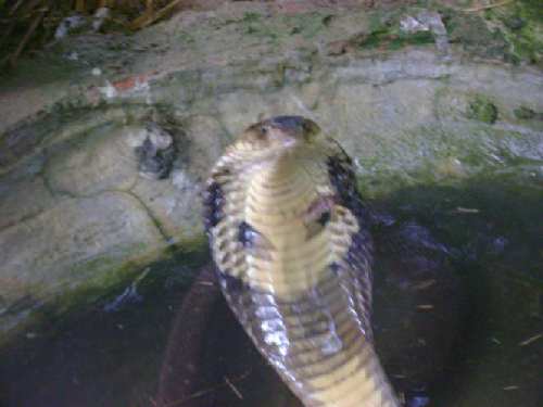 Picture11.jpg