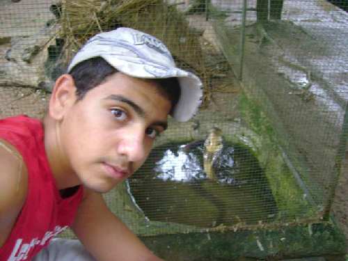 Picture13.jpg