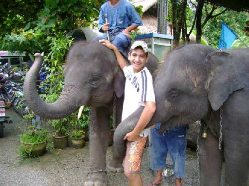 Picture8.jpg