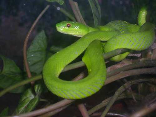 Picture10.jpg