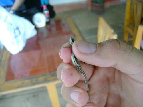 Picture5.jpg