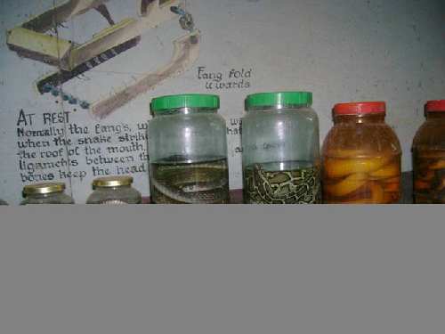 Picture6.jpg