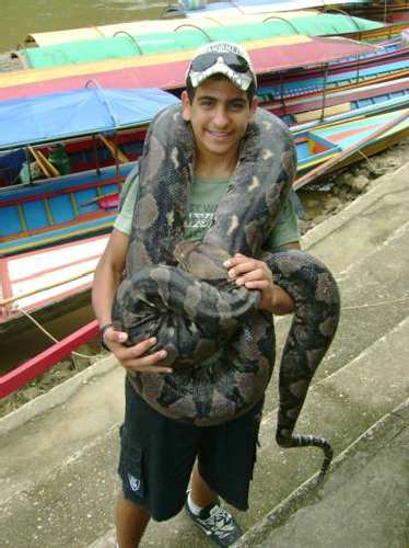 Picture3.jpg