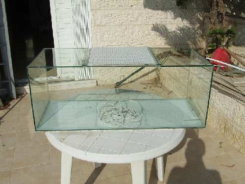 DSCF1268.JPG