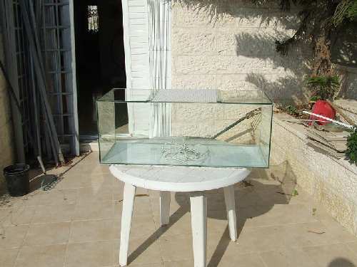 DSCF1267.JPG