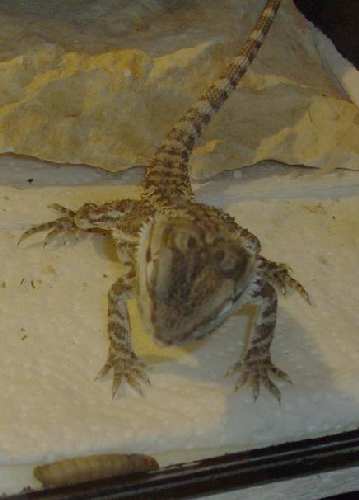 IMGP0097.jpg
