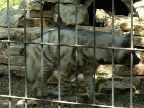 DSCN0198.JPG