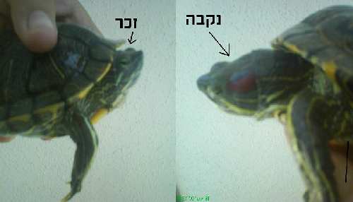 860_1188910093_jpg_280.jpg