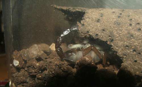 DSCF4195.JPG