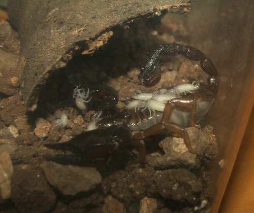 DSCF4198.JPG