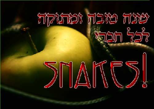 דמשלקד.jpg