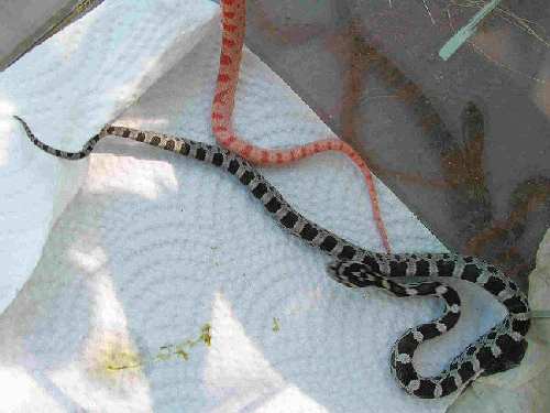 DSCN1112.JPG